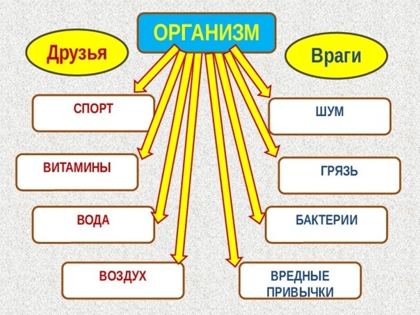 7 апреля прошла игра "Друзья и враги здоровья" для учеников 5-9 классов.